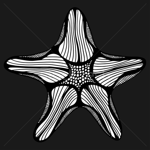 Black contour starfish illustration. Stock photo © frescomovie