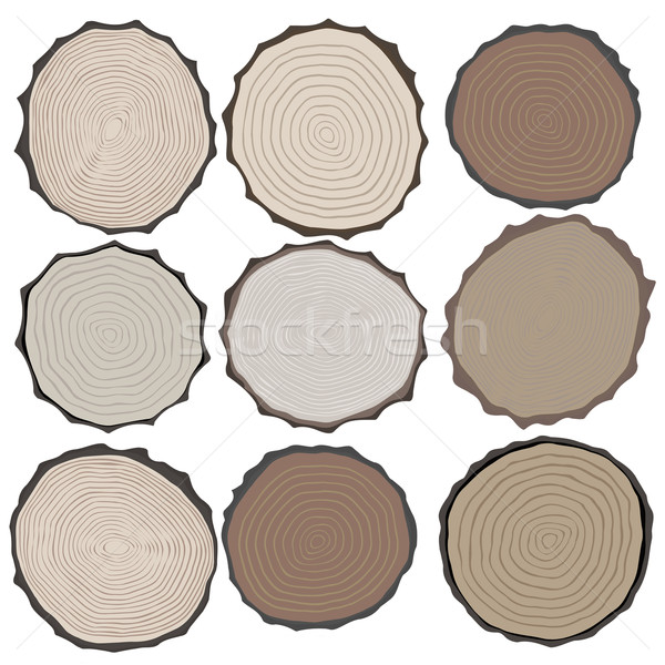 Textura de madera establecer elementos aislado ilustración textura Foto stock © frescomovie