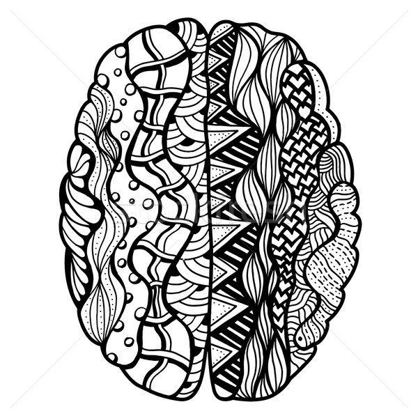 Human Brain doodle Stock photo © frescomovie