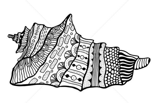 Stilizzato shell acquatico doodle sketch Foto d'archivio © frescomovie