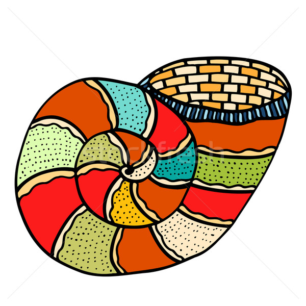 Seashell. Vector illustration.  Stock photo © frescomovie