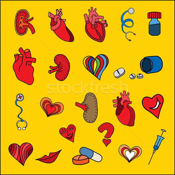 human organs Stock photo © frescomovie