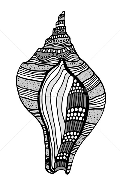 Stilizált kagyló kézzel rajzolt vízi firka rajz Stock fotó © frescomovie