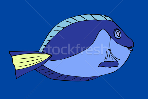 Tropical fish Stock photo © frescomovie