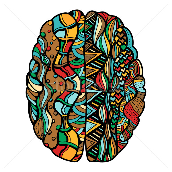 Colorat creierul uman mazgalitura decorativ curbe Imagine de stoc © frescomovie