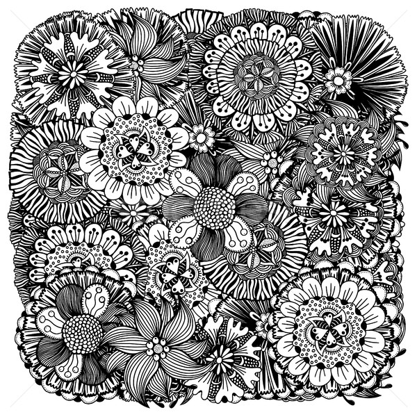 Different doodle flowers Stock photo © frescomovie