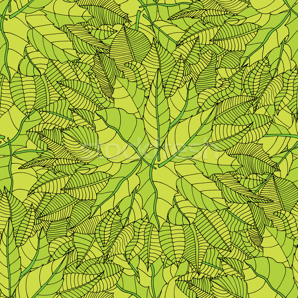 лист красивой бесшовный шаблон дерево весны Сток-фото © frescomovie