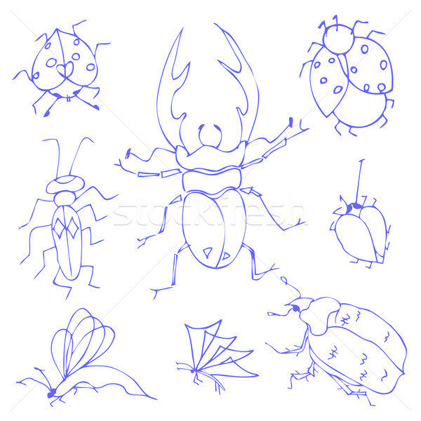 Insects sketch Stock photo © frescomovie