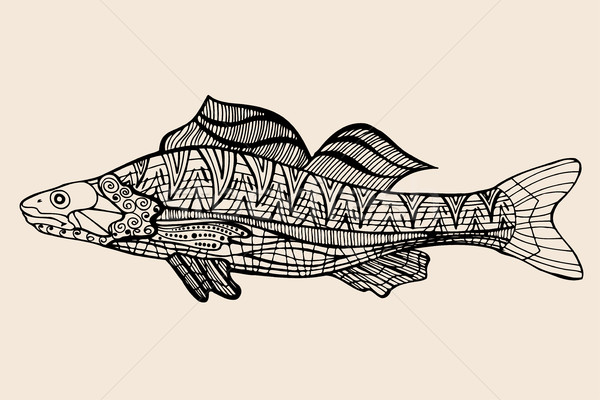 Grafische vis vector vintage Stockfoto © frescomovie