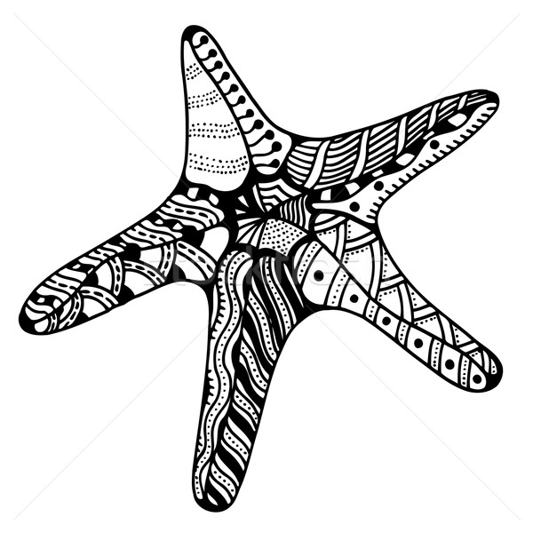 Vector zeester geïsoleerd witte vis schoonheid Stockfoto © frescomovie