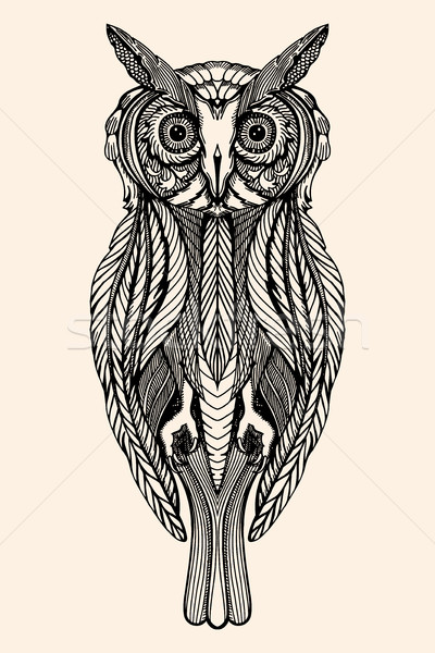 Vector decorativo búho dibujado a mano garabato Foto stock © frescomovie
