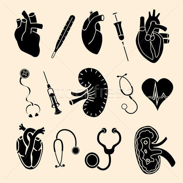 human organs icons Stock photo © frescomovie