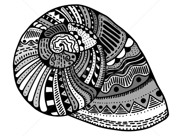 Stilizzato shell acquatico doodle sketch Foto d'archivio © frescomovie