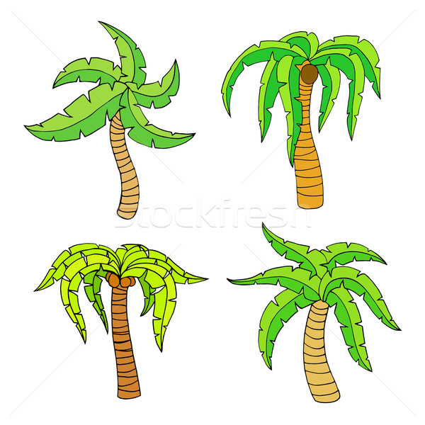 palm tree Stock photo © frescomovie