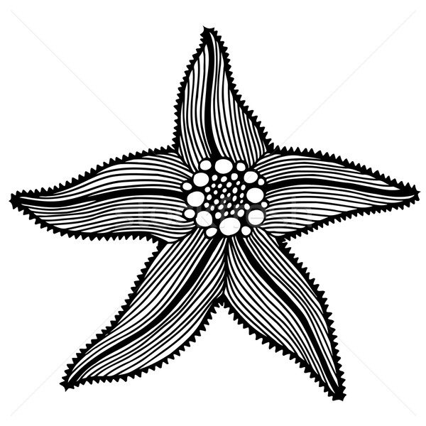 商业照片: 黑色 · 海星 · 插图 ·墨· 艺术