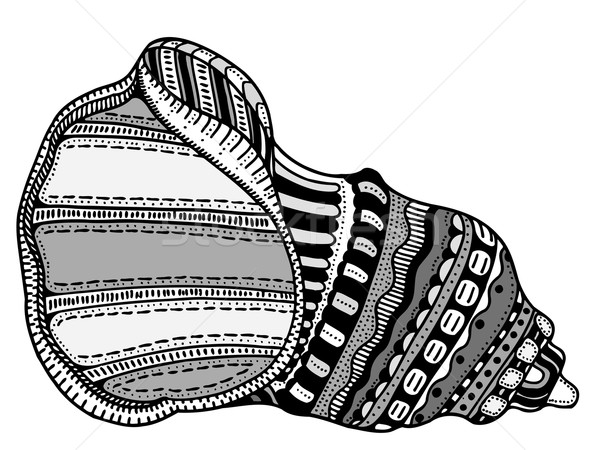 Stilisierten Shell Hand gezeichnet aquatischen Doodle Skizze Stock foto © frescomovie