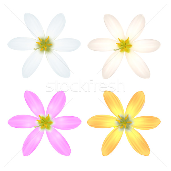 Basic RGB Stock photo © frescomovie