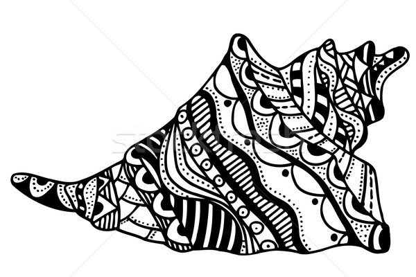 Stock foto: Stilisierten · Shell · Hand · gezeichnet · aquatischen · Doodle · Skizze
