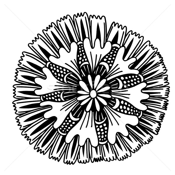 Circle summer doodle flower ornament. Stock photo © frescomovie