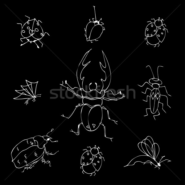 ストックフォト: 昆虫 · いたずら書き · セット · 手描き · 蝶 · 赤