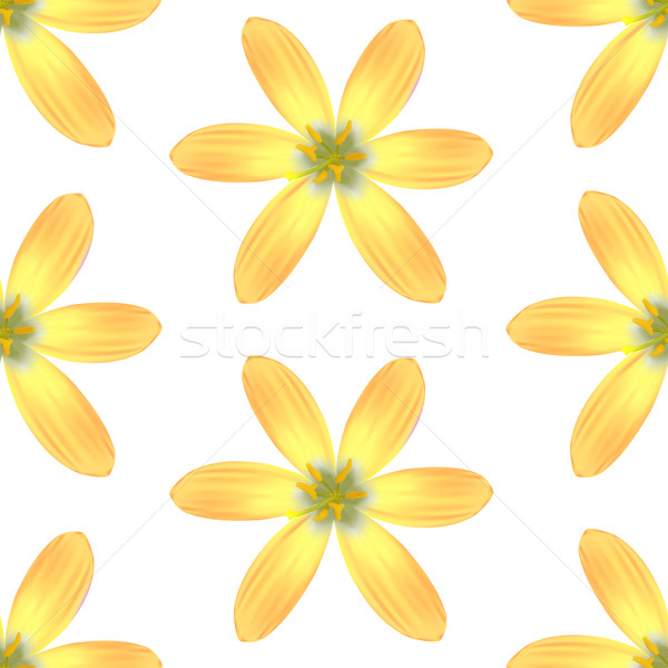 [[stock_photo]]: Fleurs · fleurs · jaunes · fleur · texture · jardin