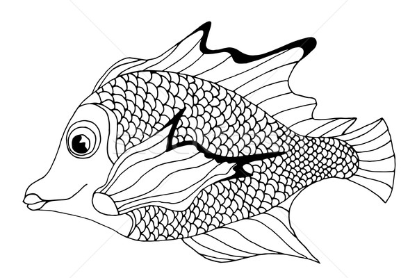 Hand Drawn Fish Stock photo © frescomovie