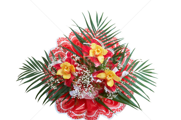 Foto stock: Buquê · orquídeas · belo · isolado · branco · flor