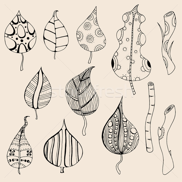 Hand drawn artwork Forest leaves Stock photo © frescomovie