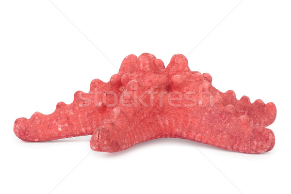Red Starfish. Stock photo © frescomovie