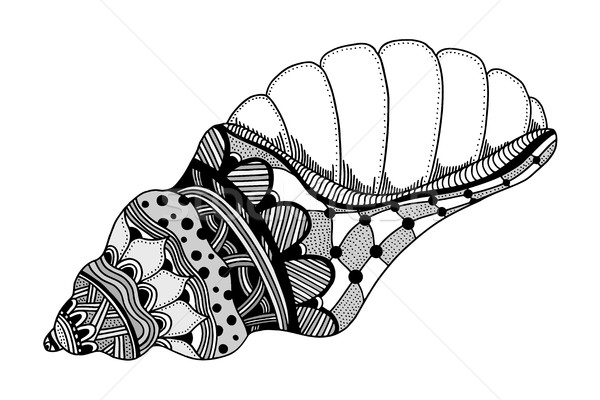 Stock foto: Hand · gezeichnet · Meer · Shell · stilisierten · schwarz · aquatischen