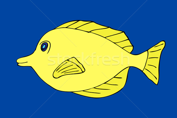 Tropical fish Stock photo © frescomovie