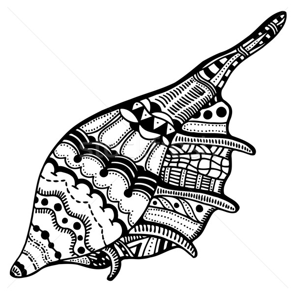 Stilizzato shell acquatico doodle sketch Foto d'archivio © frescomovie