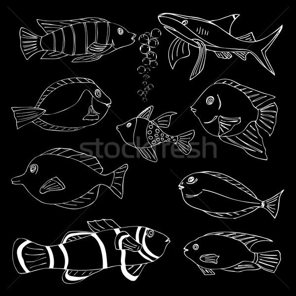 Sketch of sea Fish Stock photo © frescomovie