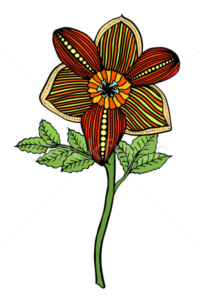 Dibujado a mano flor boceto vector aislado Foto stock © frescomovie