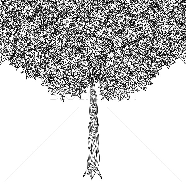 Tree with leaves Stock photo © frescomovie