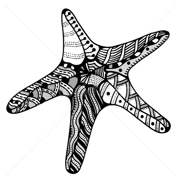 Vettore starfish isolato bianco pesce bellezza Foto d'archivio © frescomovie