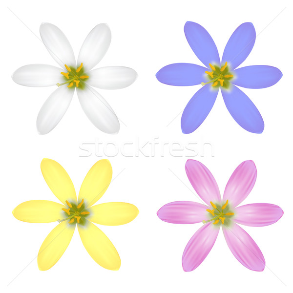 Basic RGB Stock photo © frescomovie