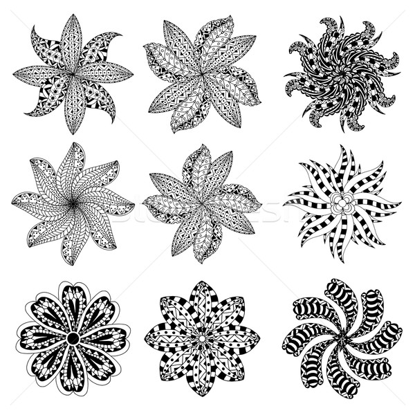 Ornament Set Mandala geometrischen Kreis Element Stock foto © frescomovie