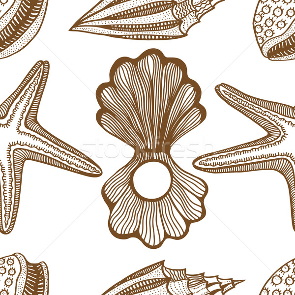 Foto stock: Conchas · starfish · vetor · rabisco · marrom