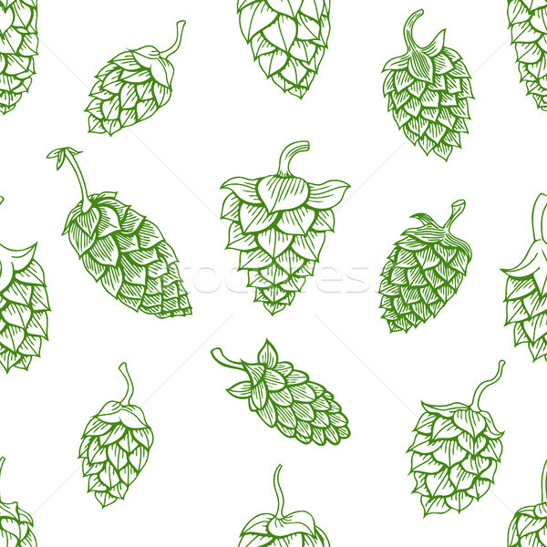 pattern with green hops Stock photo © frescomovie