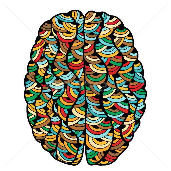 Colored Sketchy Human Brain Stock photo © frescomovie