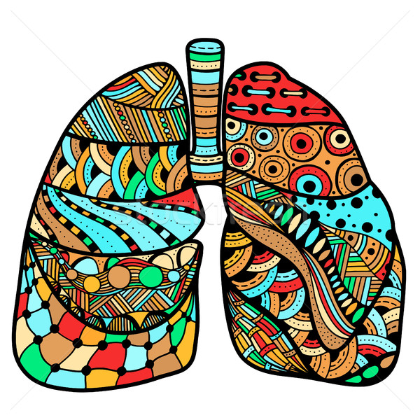 Hand drawn sketched lungs Stock photo © frescomovie
