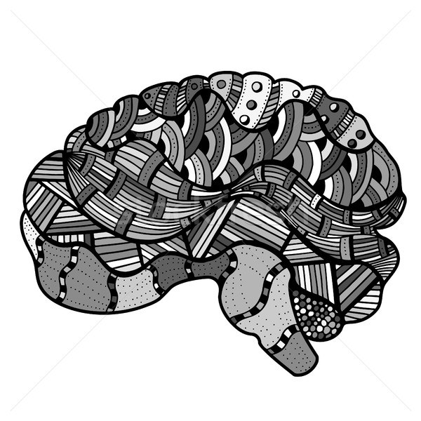 Sketchy Human Brain Stock photo © frescomovie