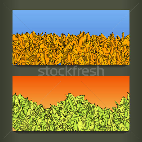 colorful leaves Stock photo © frescomovie