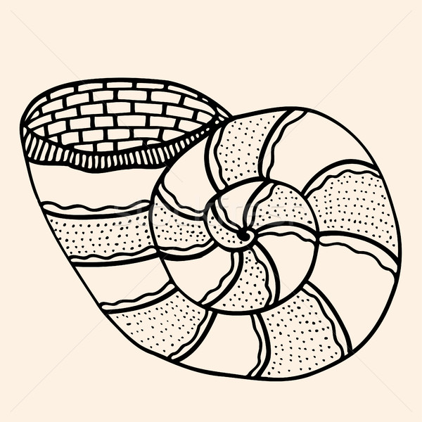Mare shell abstract pattern doodle Foto d'archivio © frescomovie