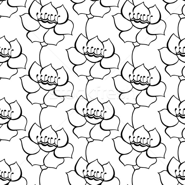 Floreale pattern senza soluzione di continuità contorno in bianco e nero Foto d'archivio © frescomovie