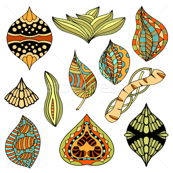 doodle leafs and branches Stock photo © frescomovie