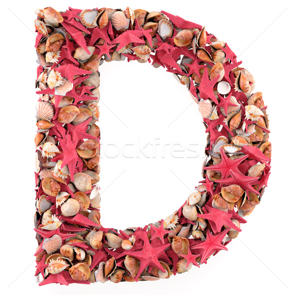 D letter from seashells and starfish. Isolated on white background. 3d render Stock photo © frescomovie