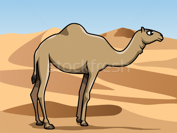 Foto d'archivio: Deserto · illustrazione · cute · divertente · cartoon · cammello