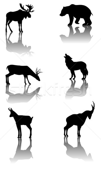Set montagna animali sei sagome riflesso Foto d'archivio © fresh_7266481